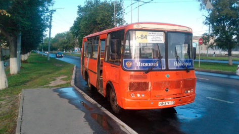 Нижегородская область вошла в число регионов РФ, которые получат средства на развитие электротранспорта