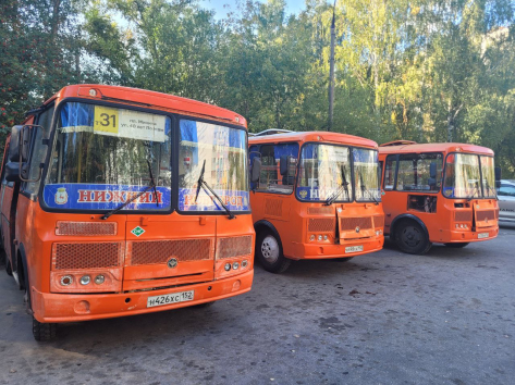 Автобусный маршрут Т-31 сменил название на А-31
